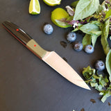 NORA #1677 - 3.5" Paring Knife -  2020